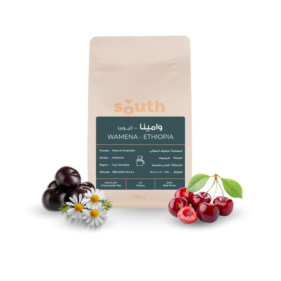 South - Wamina Filter (Ethiopia)