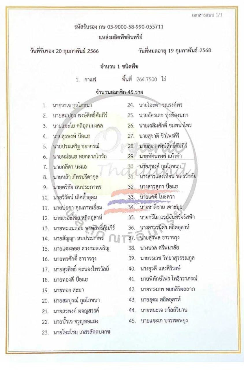 HillKoff- Organic Sop Moei Arabica Coffee, Mae Hong Son