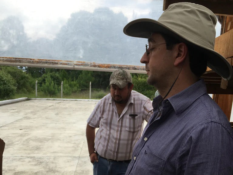 فوجلين - (ريتيرو دي كيسايا)