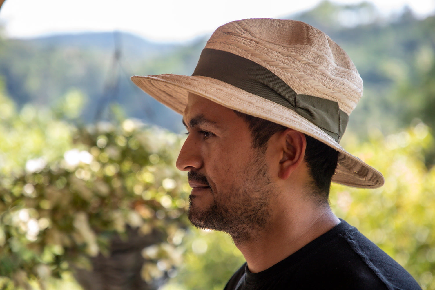 HERMANOS - La Estrellita