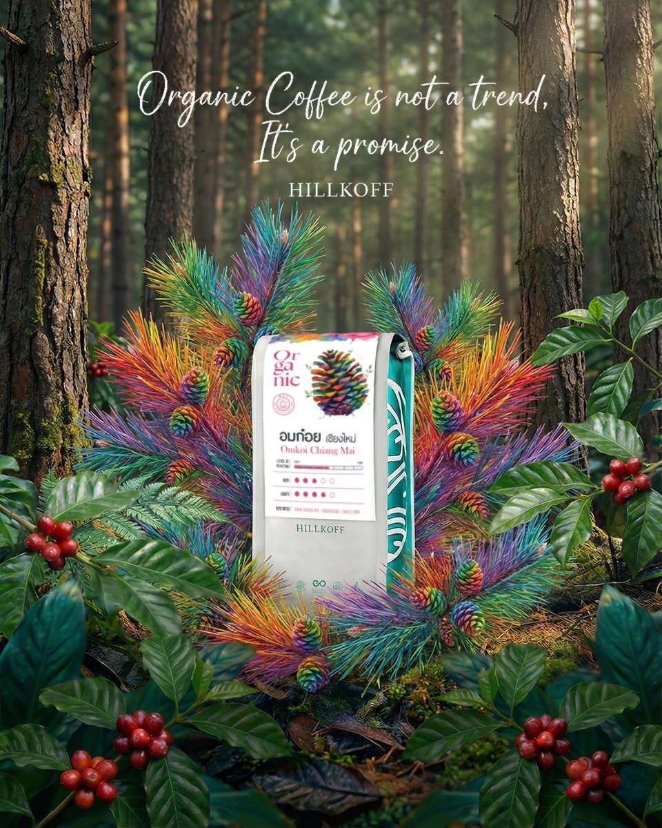 HillKoff- Organic Omkoi Arabica Coffee Chiang Mai.