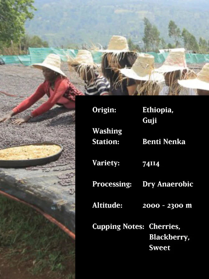 Man Vs Machine - BENTI NENKA, ETHIOPIA, DRY ANAEROBIC