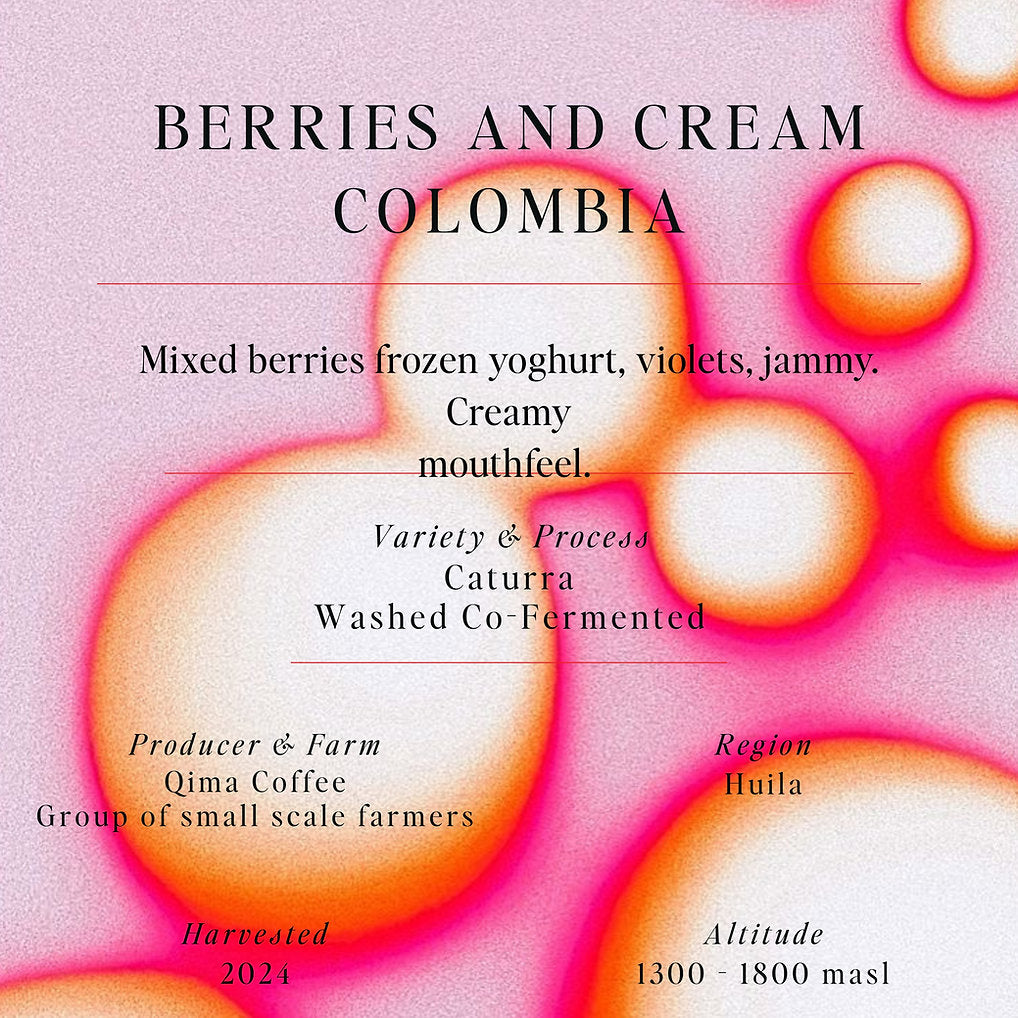 SUMO - Berries and Cream (Colombia)