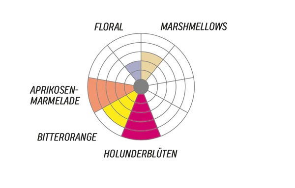 Rvtc- Bourbon Aji by Jhoan Vergara ( Colombia )