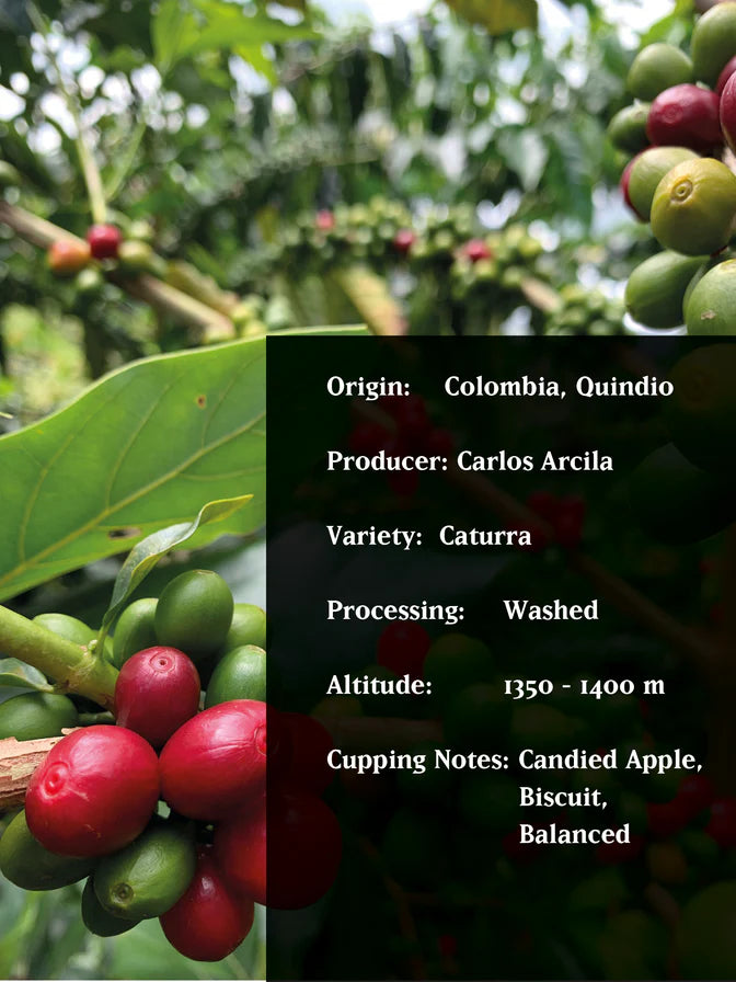 Man Vs Machine - (Carlos Arcila- Colombia)