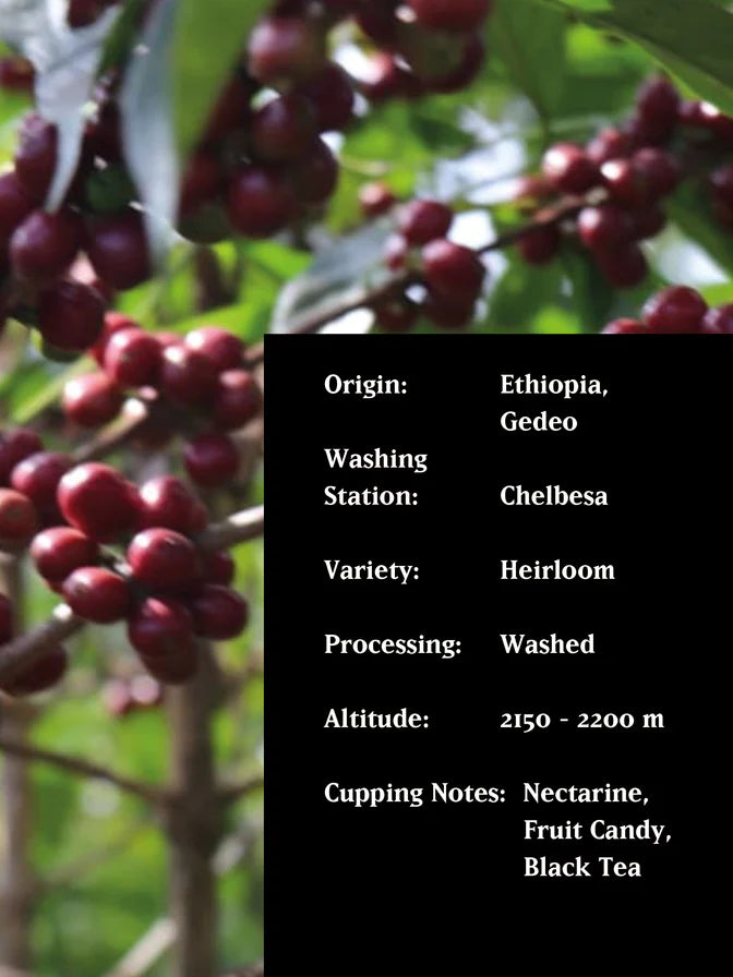 رجل مقابل آلة – شلبيسا (إثيوبيا)