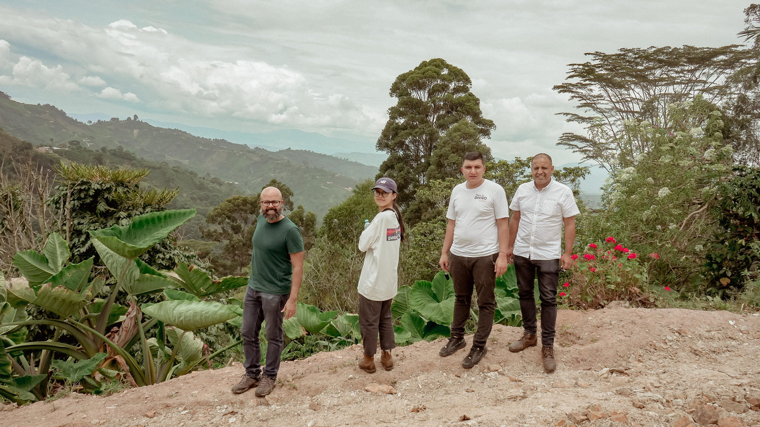 هيرمانوس - النوبة