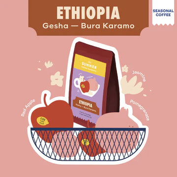 Summer Coffee Company- Ethiopia, Gesha - Seasonal Coffee