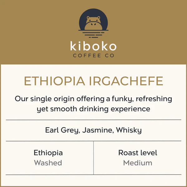 Kiboko- Ethiopia Irgachefe