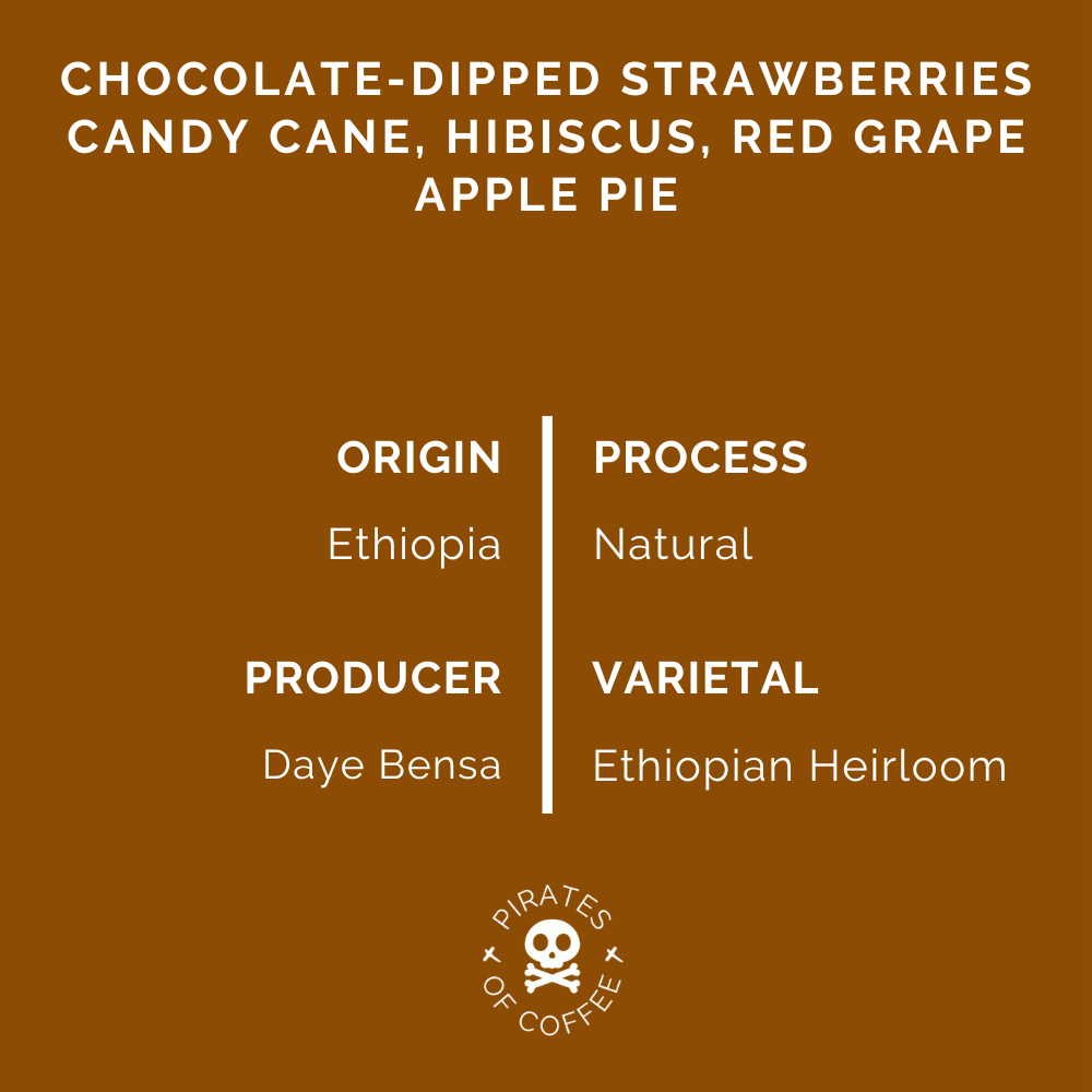 قراصنة القهوة - فروت بومبي إسبريسو