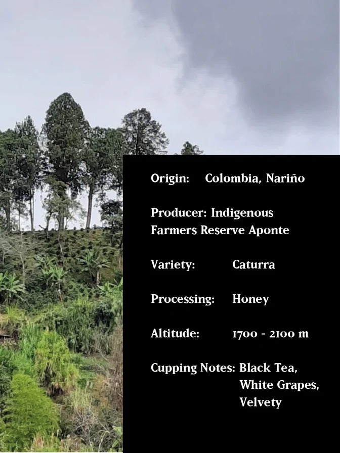 Man Vs Machine - HONEY APONTE (Colombia)