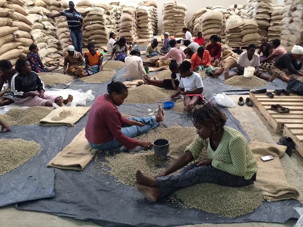 فوجلين - (AB KII)