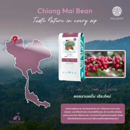 HillKoff- Doi Sam Muen