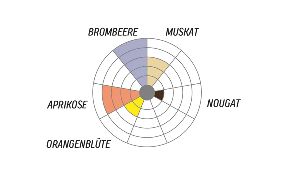 Rvtc- Mundayo AASH Washing Station ( Ethiopia )