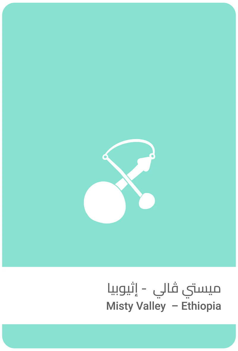 Front view of a light green Misty Valley - Ethiopia coffee flavor card featuring a white abstract graphic illustration and text.