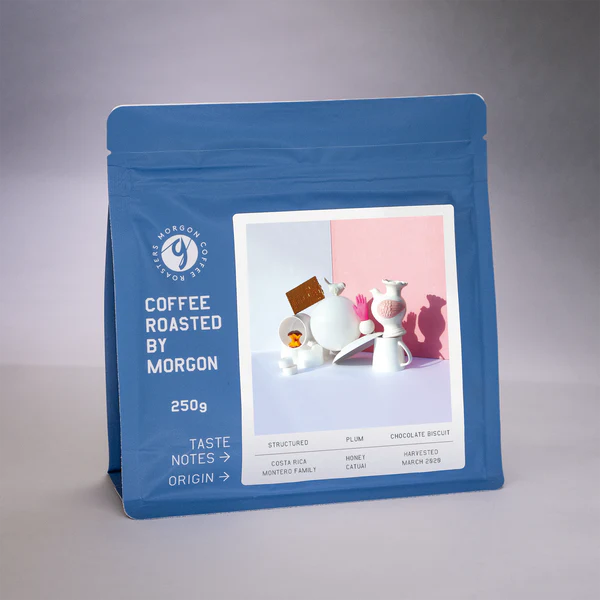 MORGON- FILTER -Montero Family(Costa Rica)