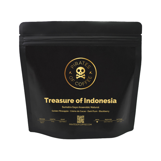 TREASURE OF INDONESIA: Sumatra Gayo Anaerobic Natural