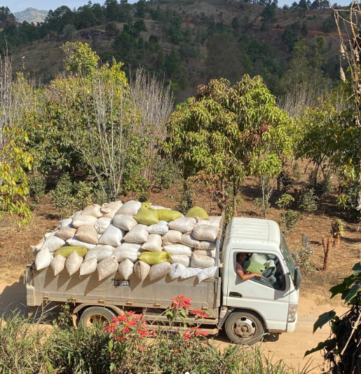 PA-O: Myanmar Anaerobic Natural