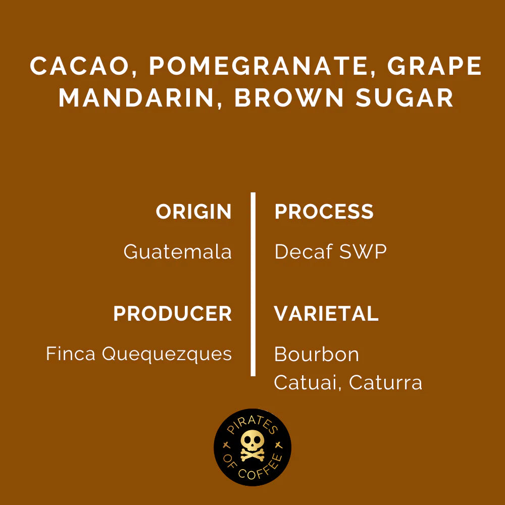Pirates of Coffee - VINxO DECAF: Guatemala Washed Decaf