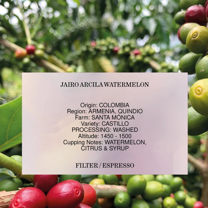 Man Vs Machine - Jairo Arcila Watermelon (Colombia)Anomaly Edition