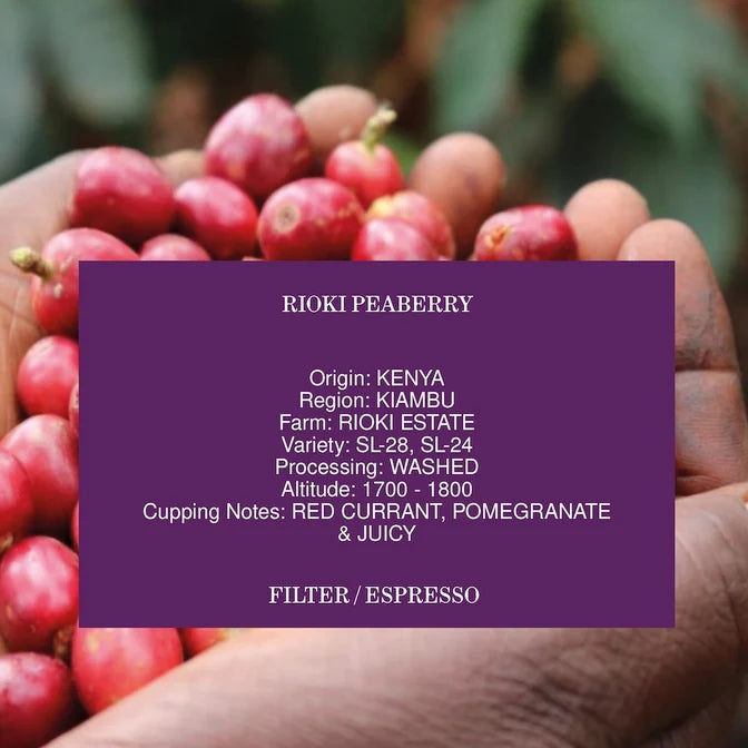 Man Vs Machine - Rioki Peaberry (Kenya)