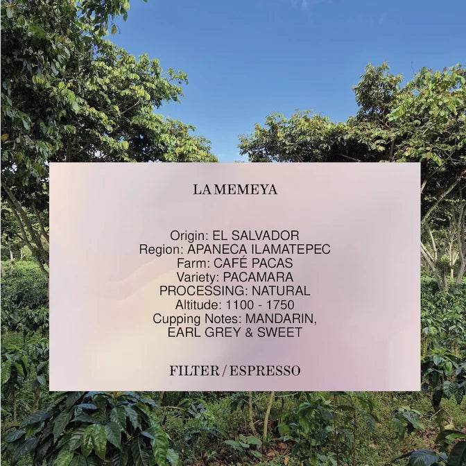 Man Vs Machine - La Memeya (El Salvador)Tantalum Edition