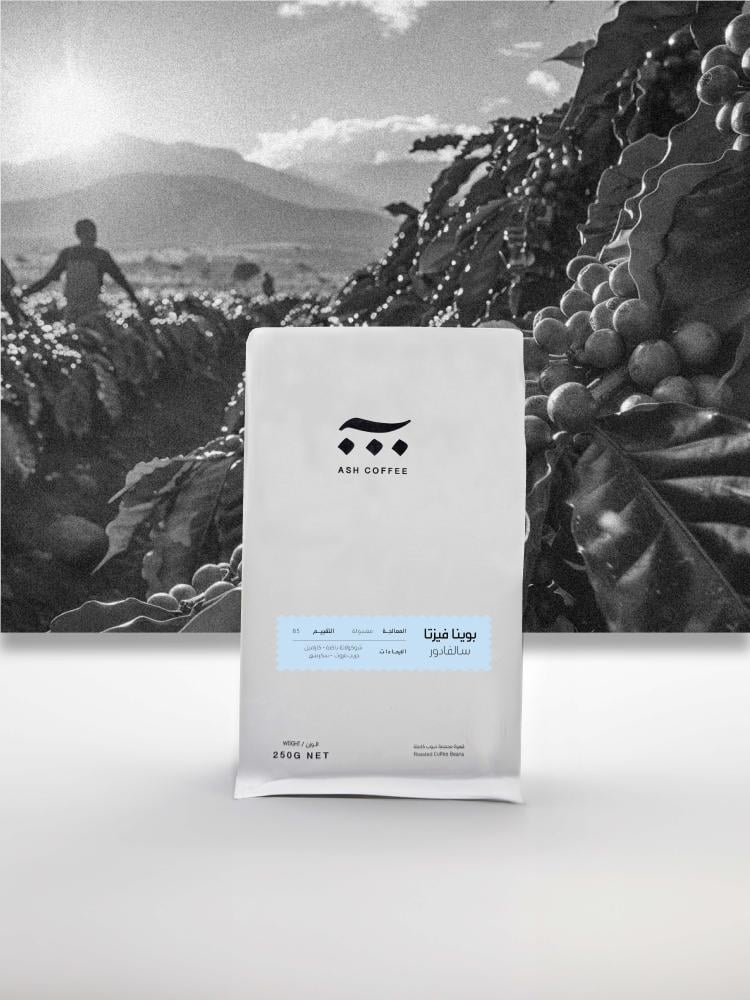 ASH - (سلفادور بوينا فيستا) 