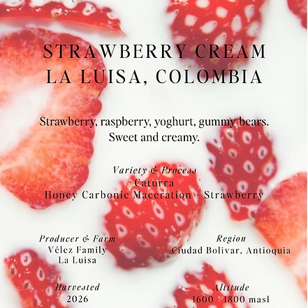 SUMO - Strawberry Cream, La Luisa, Colombia,