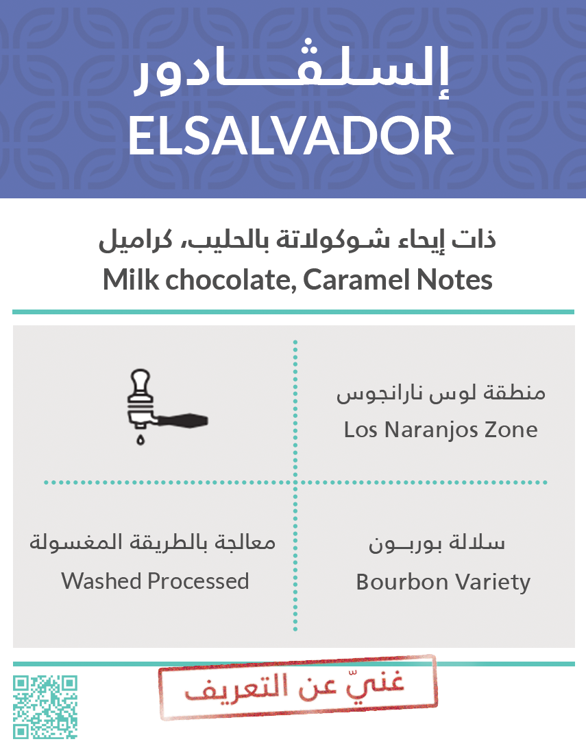 كيفا - السلفادور