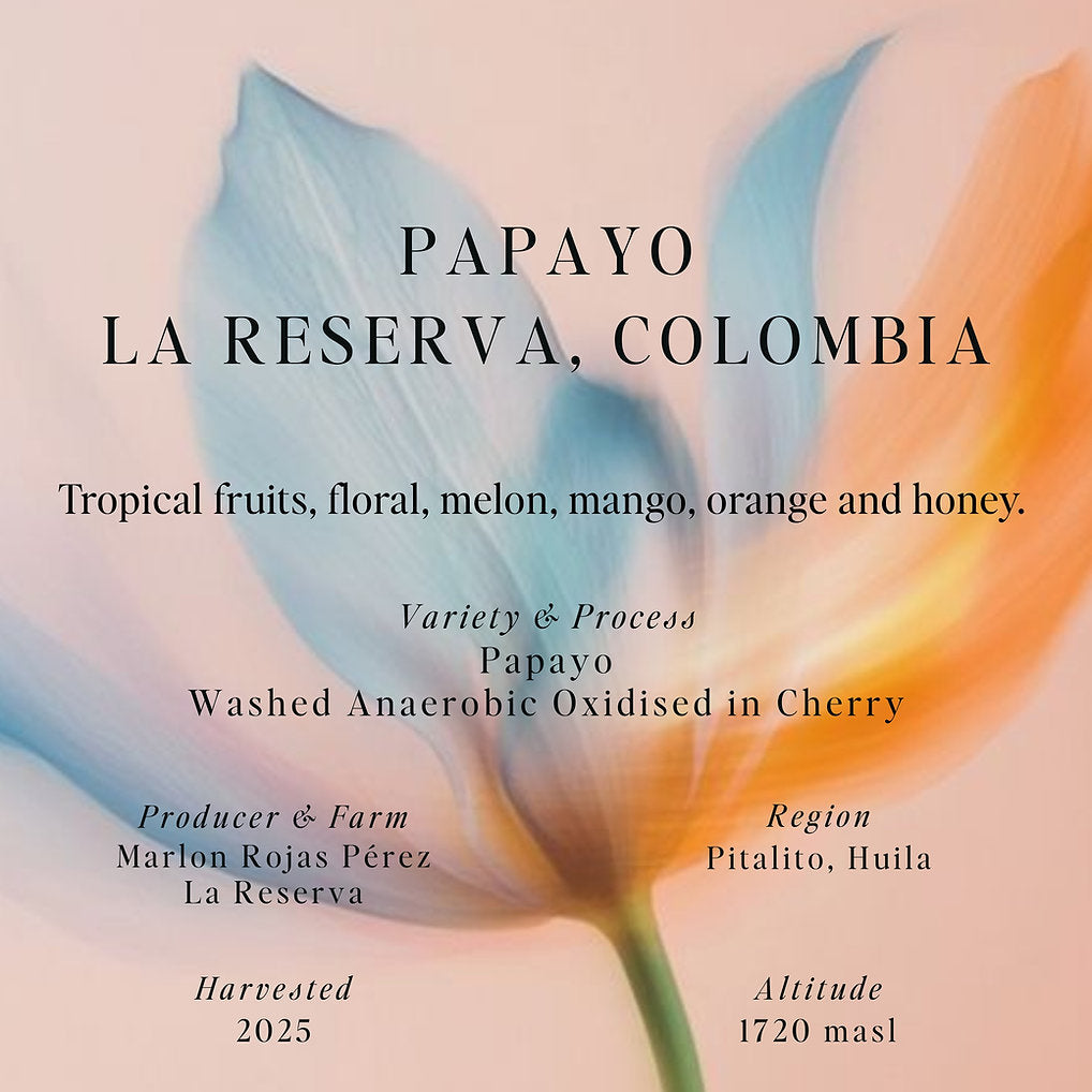 SUMO - Papayo, Washed Anaerobic, La Reserva, Colombia