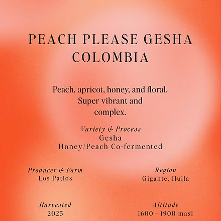 SUMO -Peach Please Gesha, Los Patios, Colombia