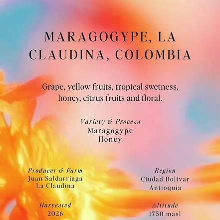 SUMO - Maragogype, La Claudina, Colombia,