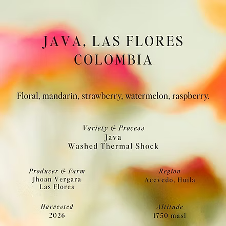 SUMO - Java, Las Flores, Colombia