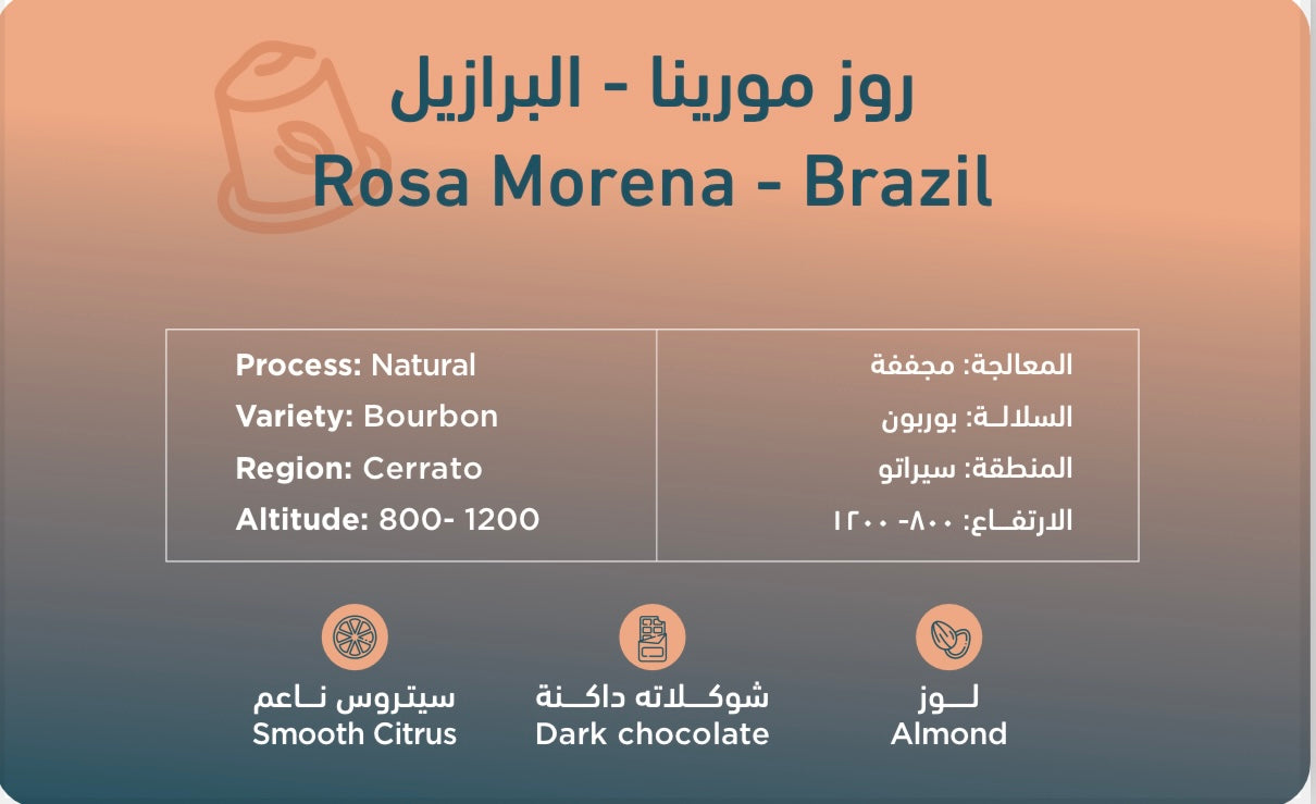 South - Rosa Morena (Capsules)