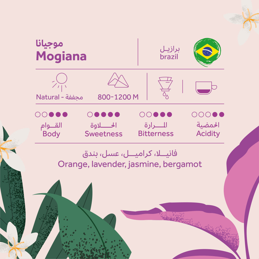 Breehant - (Brazilian Mogiana)