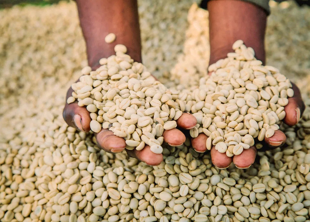 Gardelli- Gikomero (Rwanda)