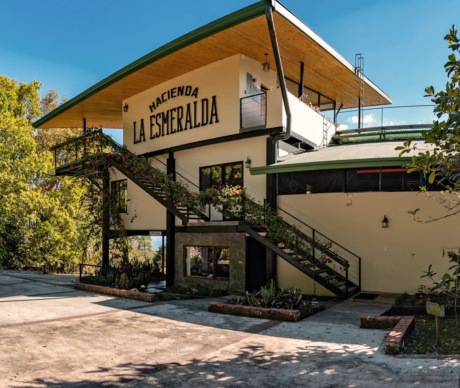 Gardelli- Hacienda La Esmeralda، El Velo Geisha Lot 29-60-625 (بنما) 