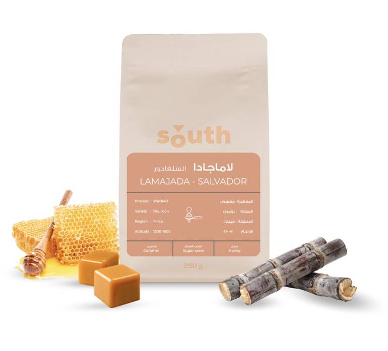 South - Lamajada - Salvador