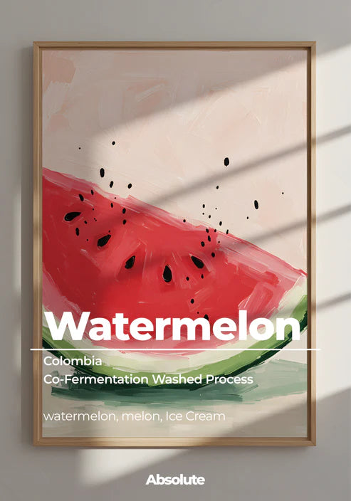 ABSOLUTE - Watermelon (Colombia)
